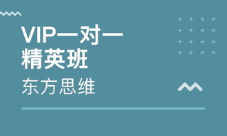 沈陽云集企業(yè)財務管理培訓輔導班全面解析 排名與價值