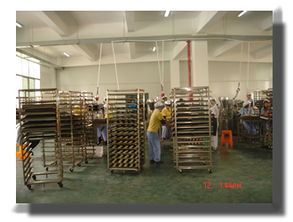 福建漳州食品廠的技術(shù)開(kāi)發(fā)現(xiàn)狀與前景探析