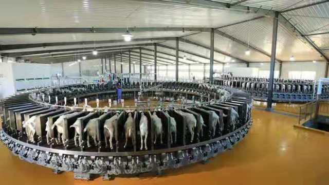 一花引來(lái)百花香 和林格爾縣技術(shù)開(kāi)發(fā)引領(lǐng)產(chǎn)業(yè)融合發(fā)展