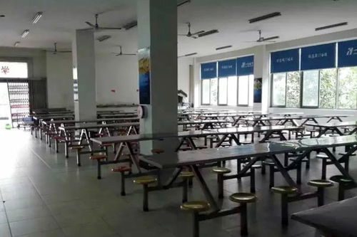 長沙IT課程招生 計算機編程培訓的可信度解析